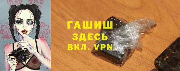 индика Бородино