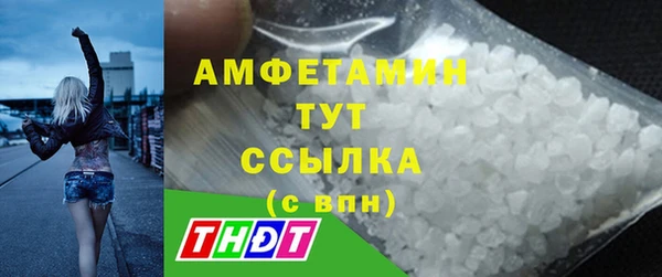 индика Бородино