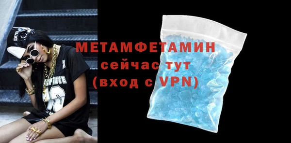индика Бородино