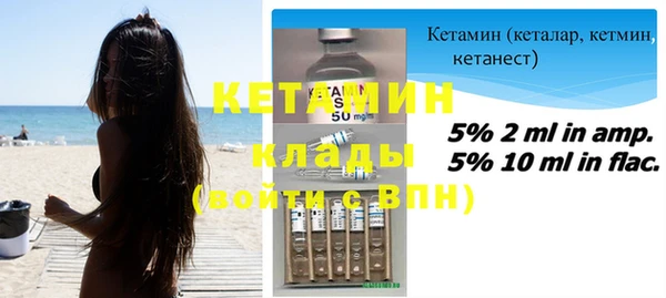 индика Бородино