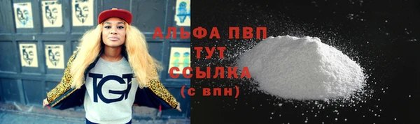 индика Бородино