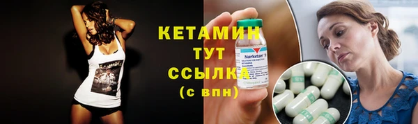 индика Бородино