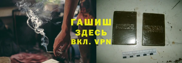 индика Бородино