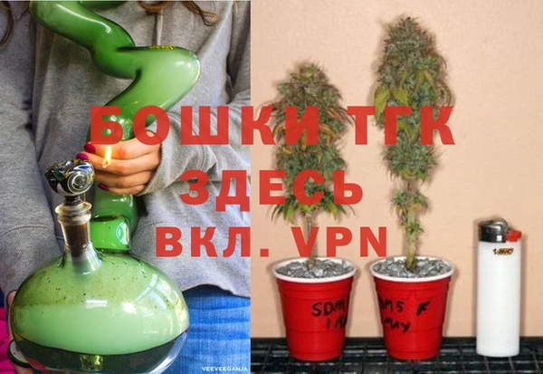 дживик Бронницы