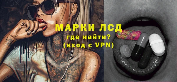 индика Бородино