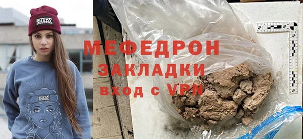 индика Бородино