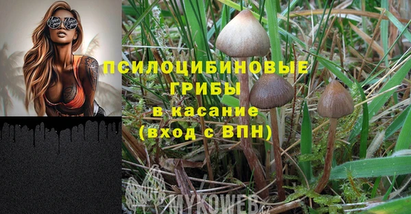 шишки Бугульма