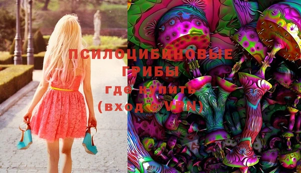 шишки Бугульма
