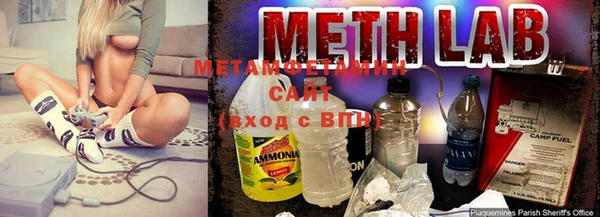 индика Бородино