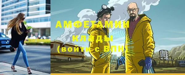 дживик Бронницы