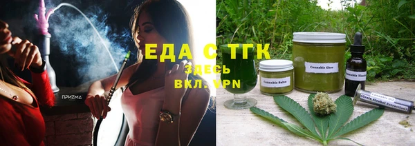 индика Бородино