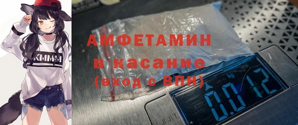 индика Бородино
