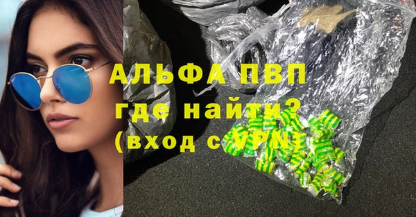 индика Бородино