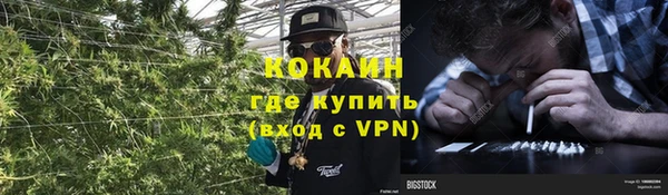 гашик Богородицк