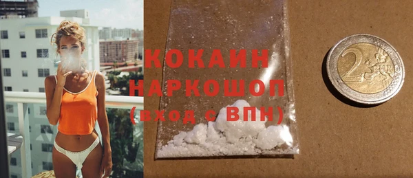 дживик Бронницы