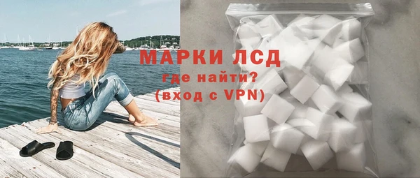 индика Бородино