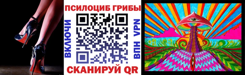 закладка  Муравленко  Псилоцибиновые грибы ЛСД 